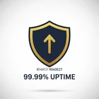 99.99% Uptime SLA Badge